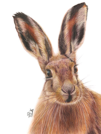 Are you talking to me?! -- Print