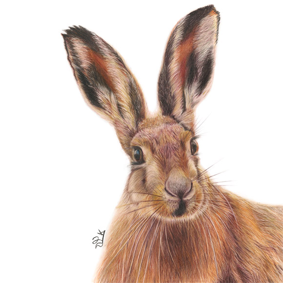 Are you talking to me?! -- Print
