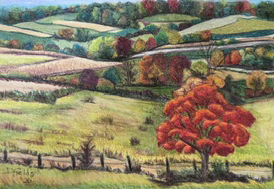Debbie Field copy