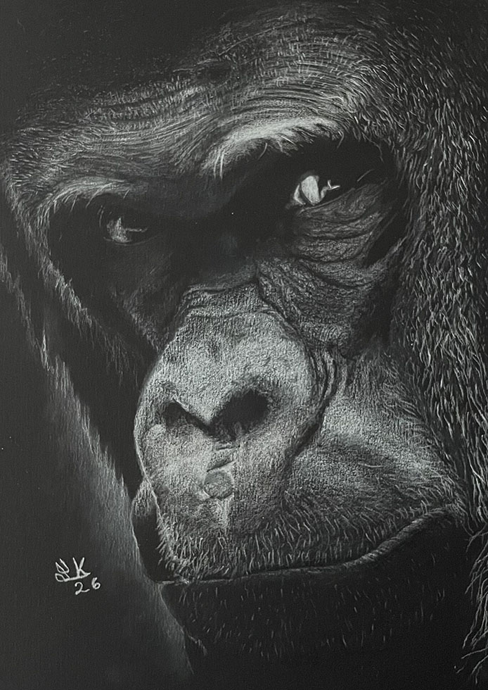 Gorilla - smaller