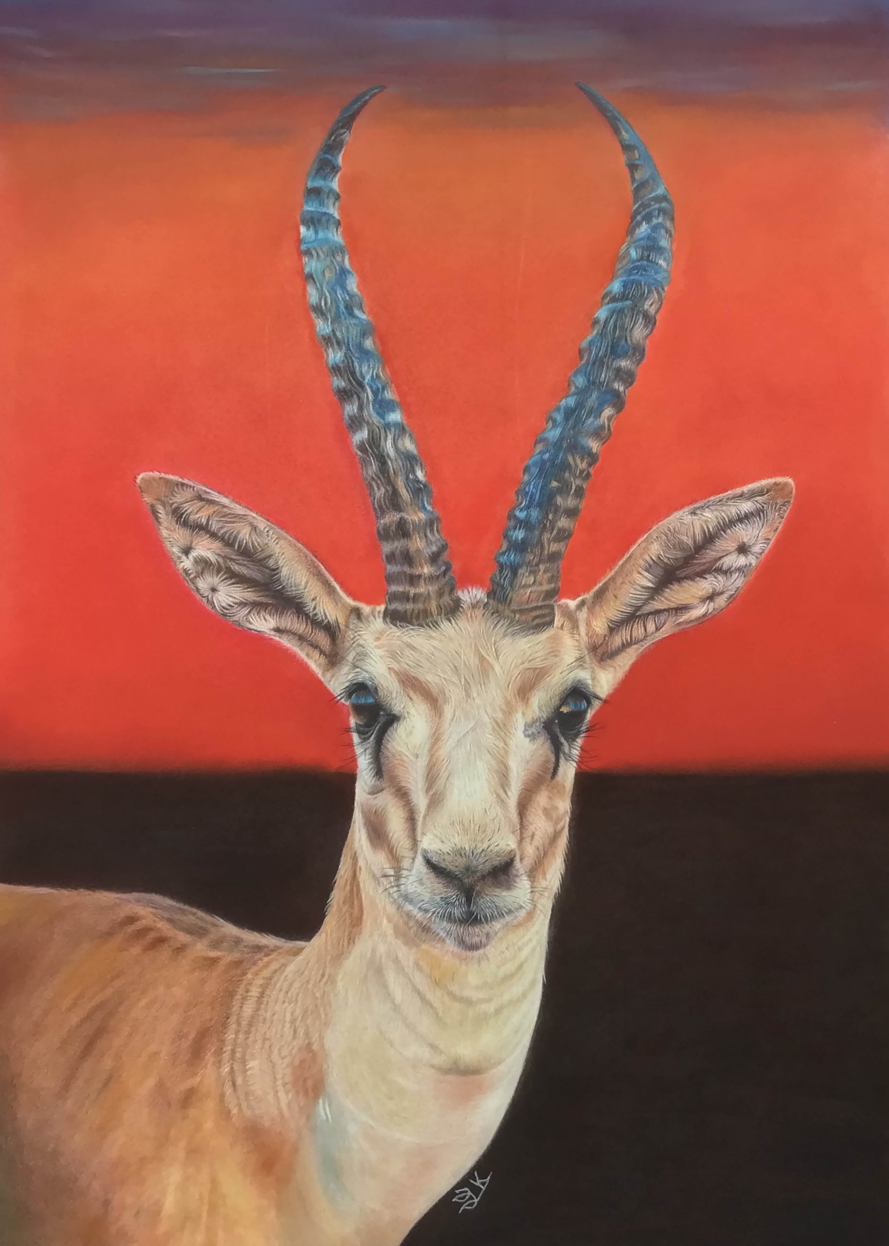 Sunrise in his eyes -- Print