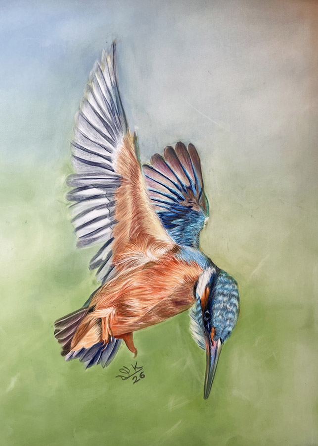 Kingfisher - smaller