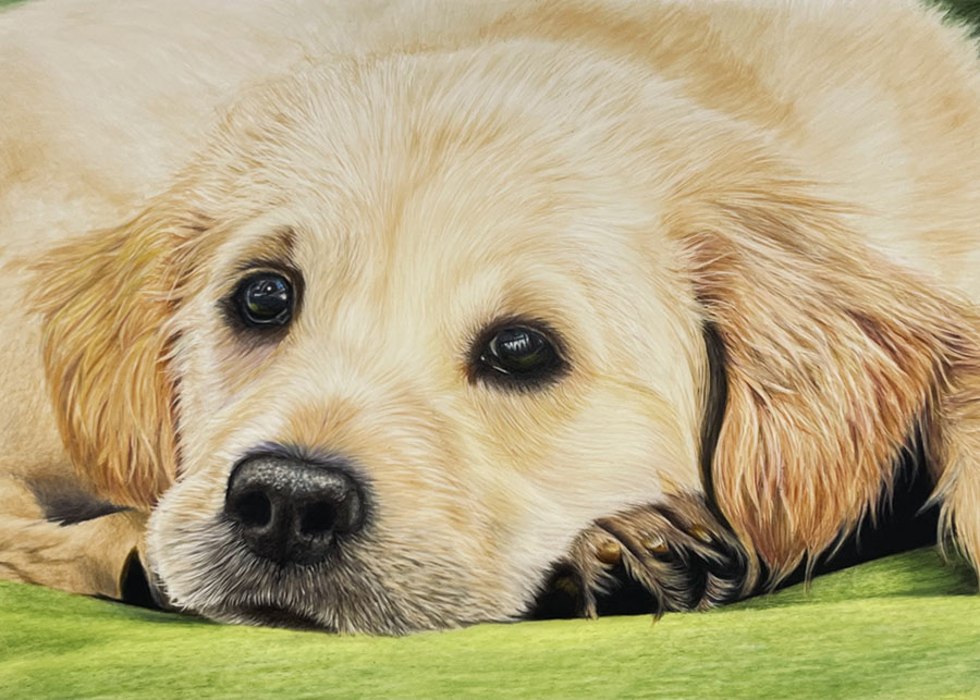 Puppy eyes - Part 5 and 6 copy