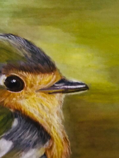 Robin -- Print