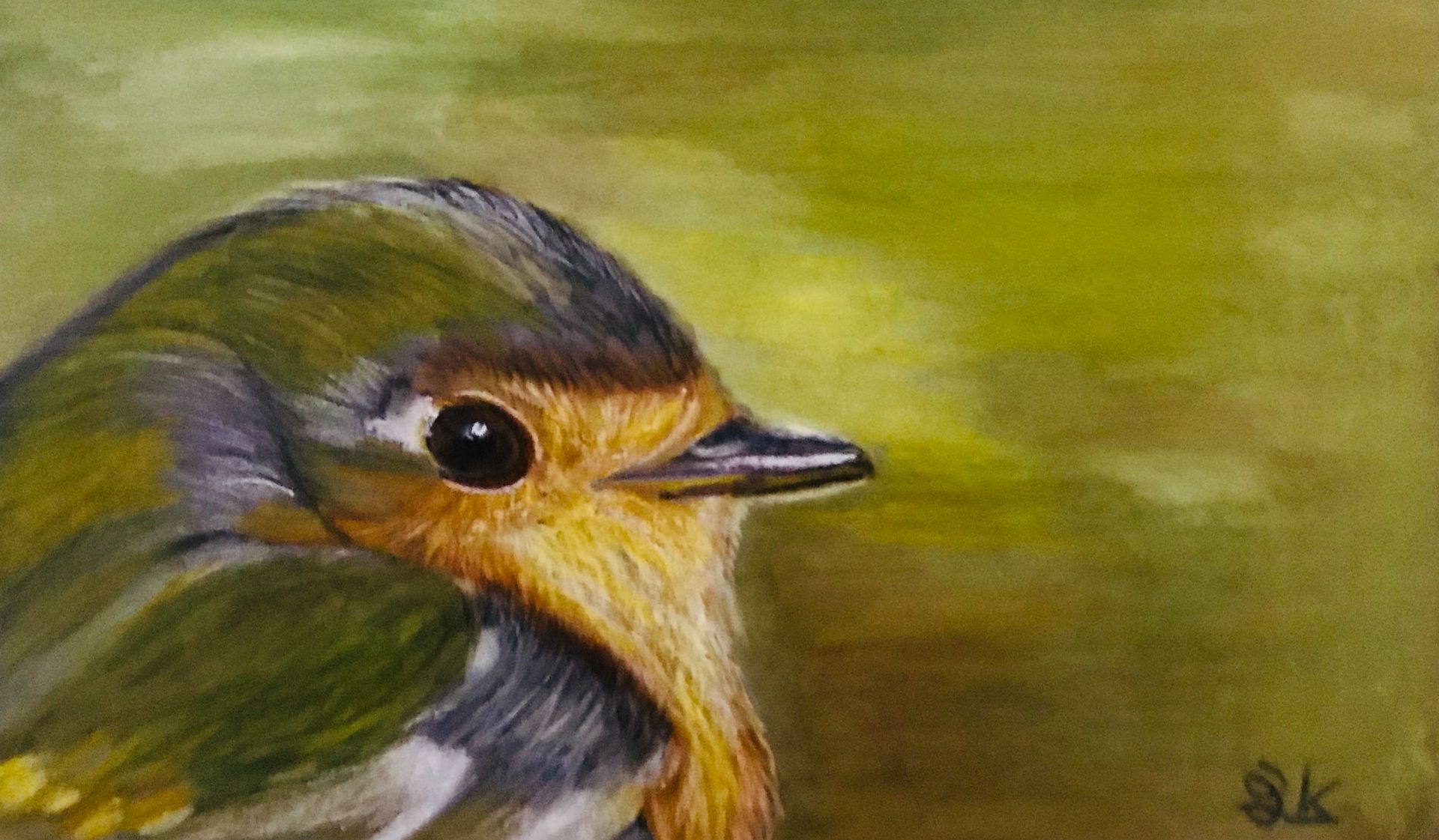 Robin -- Print