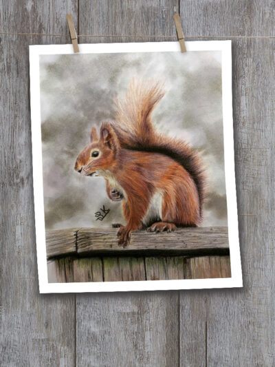 Squirrel -- Print