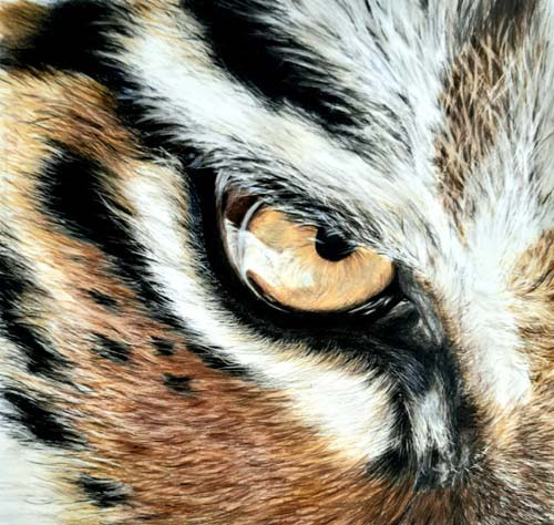 Used-Diane Pearson- tiger eye copy