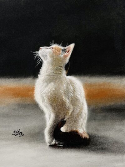 Hannah realistic cat coloured pencil tutorial on Pastelmat with PanPastel background